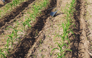 THE DUC's Plow: Best Soil Types for Optimal Performance.