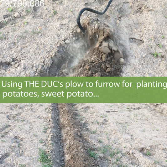 THE DUC's Plow | Hand-Pulled Plow